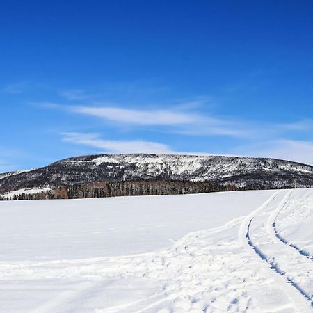Holiday Home Holiday Hill 67 By Interhome Cista  エクステリア 写真